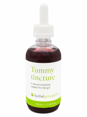 Herbal Pet Supplies | Tummy Tincture
